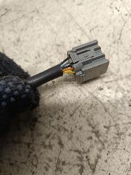 Contact us for Photo