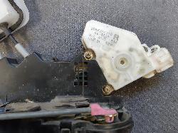 Contact us for Photo