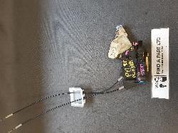 Contact us for Photo