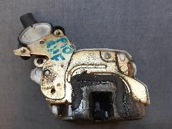 Contact us for Photo