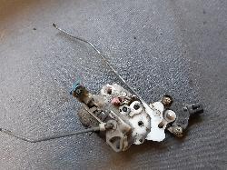 Contact us for Photo