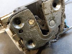 Contact us for Photo