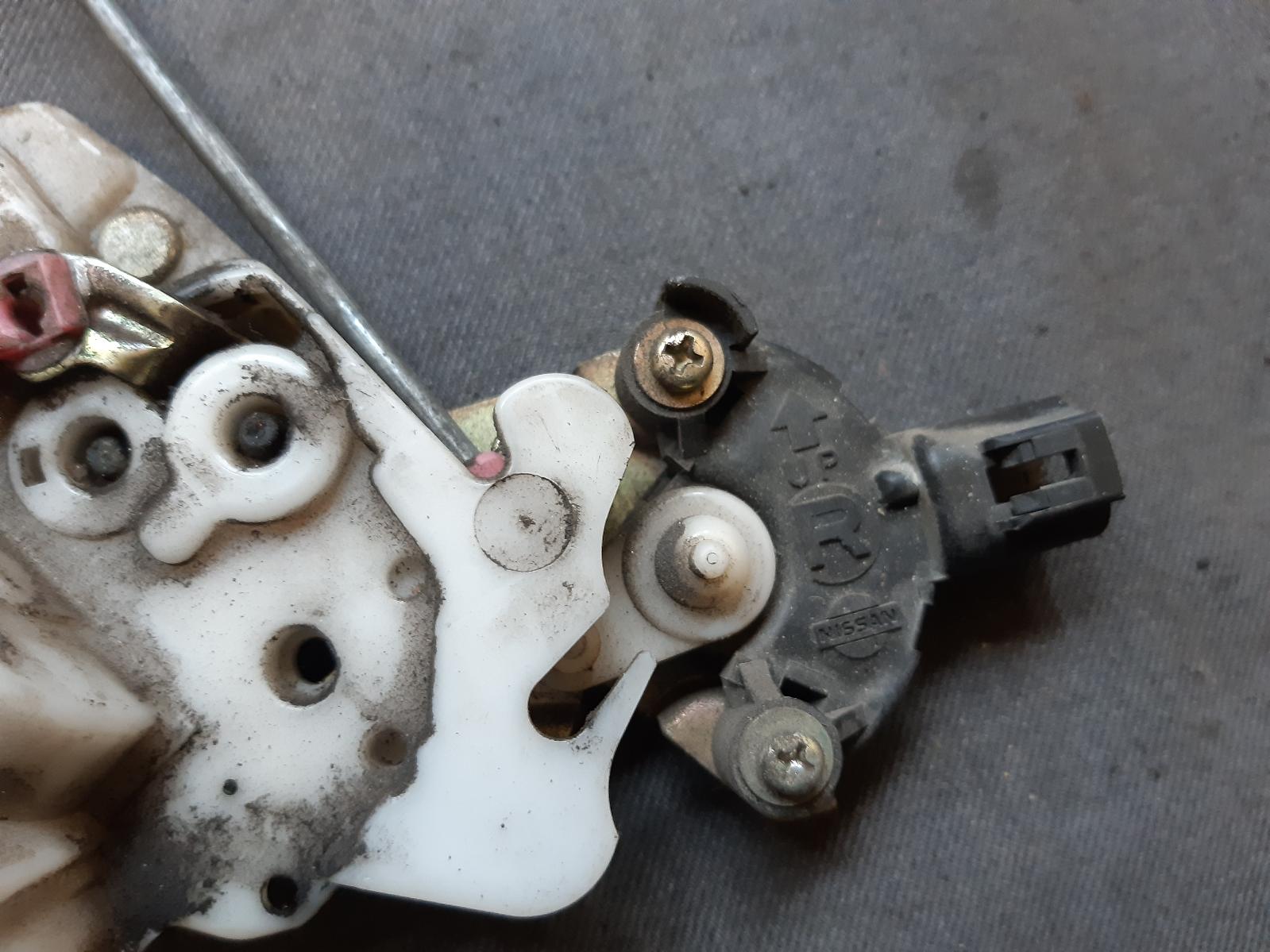 Contact us for Photo