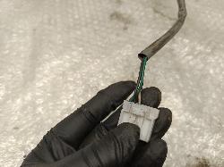 Contact us for Photo