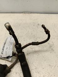 Contact us for Photo