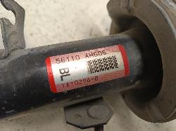 Contact us for Photo