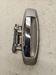 Contact us for Photo