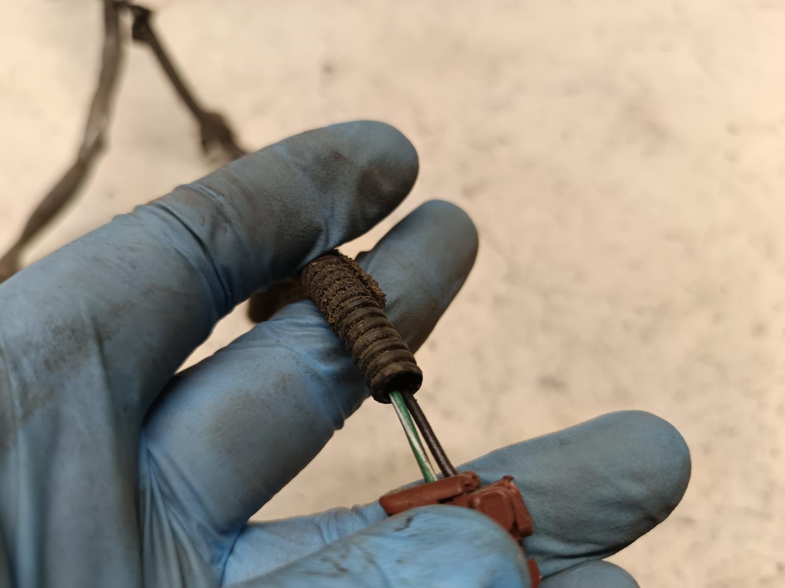 Contact us for Photo