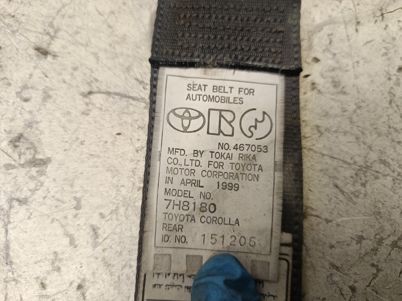 Contact us for Photo