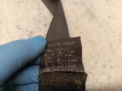 Contact us for Photo