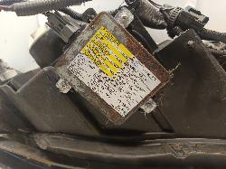 Contact us for Photo