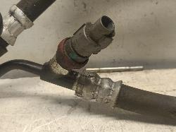 Contact us for Photo