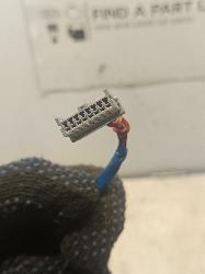 Contact us for Photo