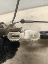 Contact us for Photo