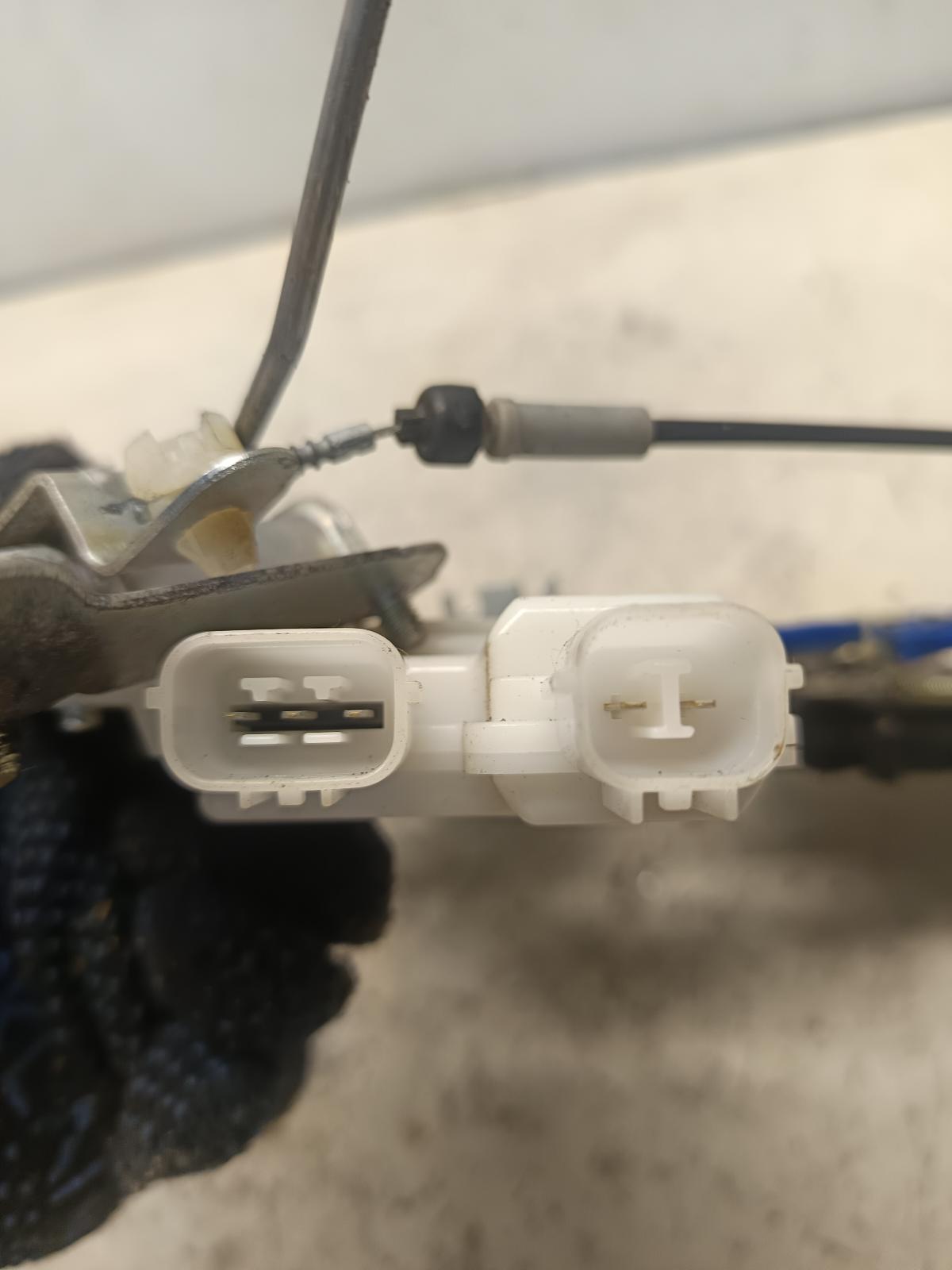 Contact us for Photo