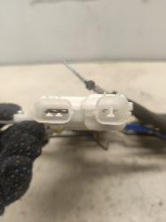 Contact us for Photo