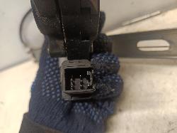 Contact us for Photo