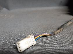 Contact us for Photo