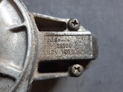 Contact us for Photo