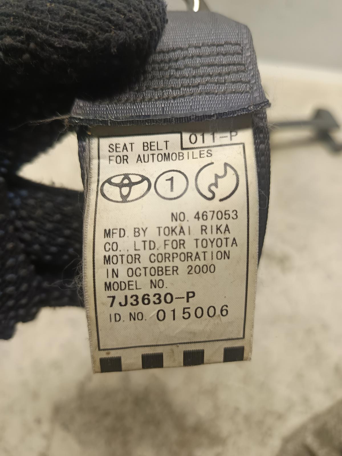 Contact us for Photo