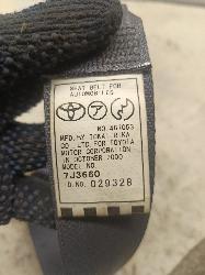 Contact us for Photo