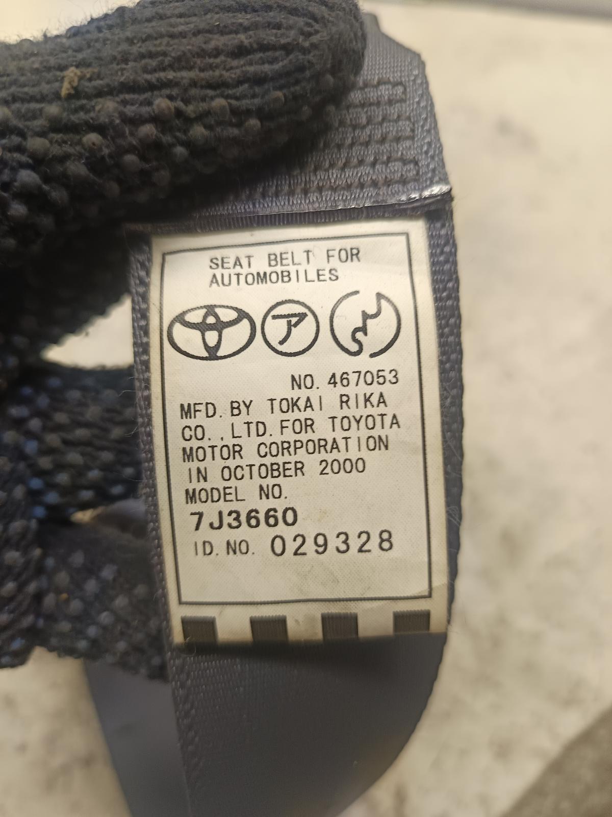 Contact us for Photo