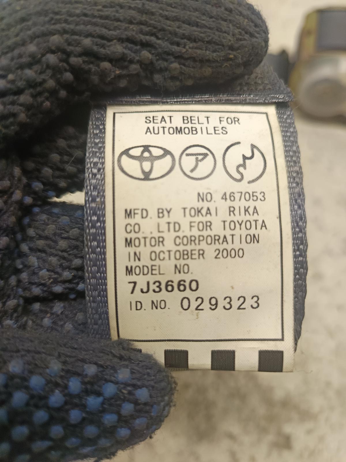 Contact us for Photo