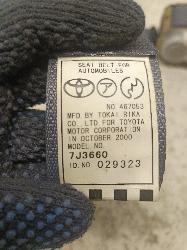 Contact us for Photo