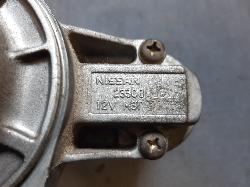 Contact us for Photo