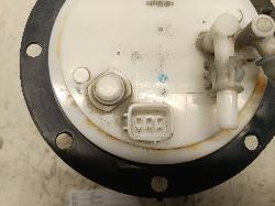 Contact us for Photo