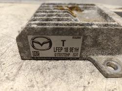 Contact us for Photo