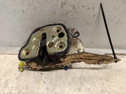 Contact us for Photo