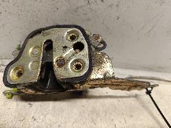 Contact us for Photo