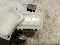 Contact us for Photo