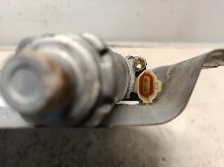 Contact us for Photo