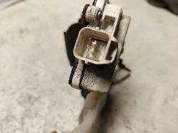 Contact us for Photo