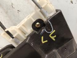 Contact us for Photo