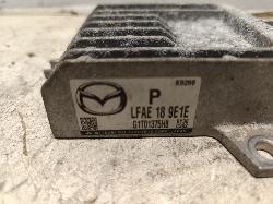 Contact us for Photo