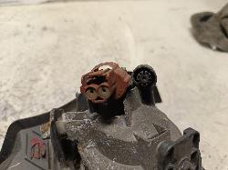 Contact us for Photo