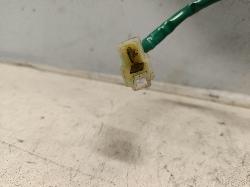 Contact us for Photo