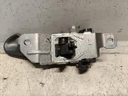 Contact us for Photo