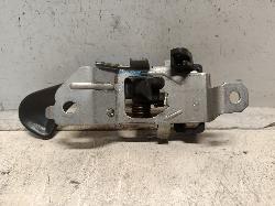 Contact us for Photo