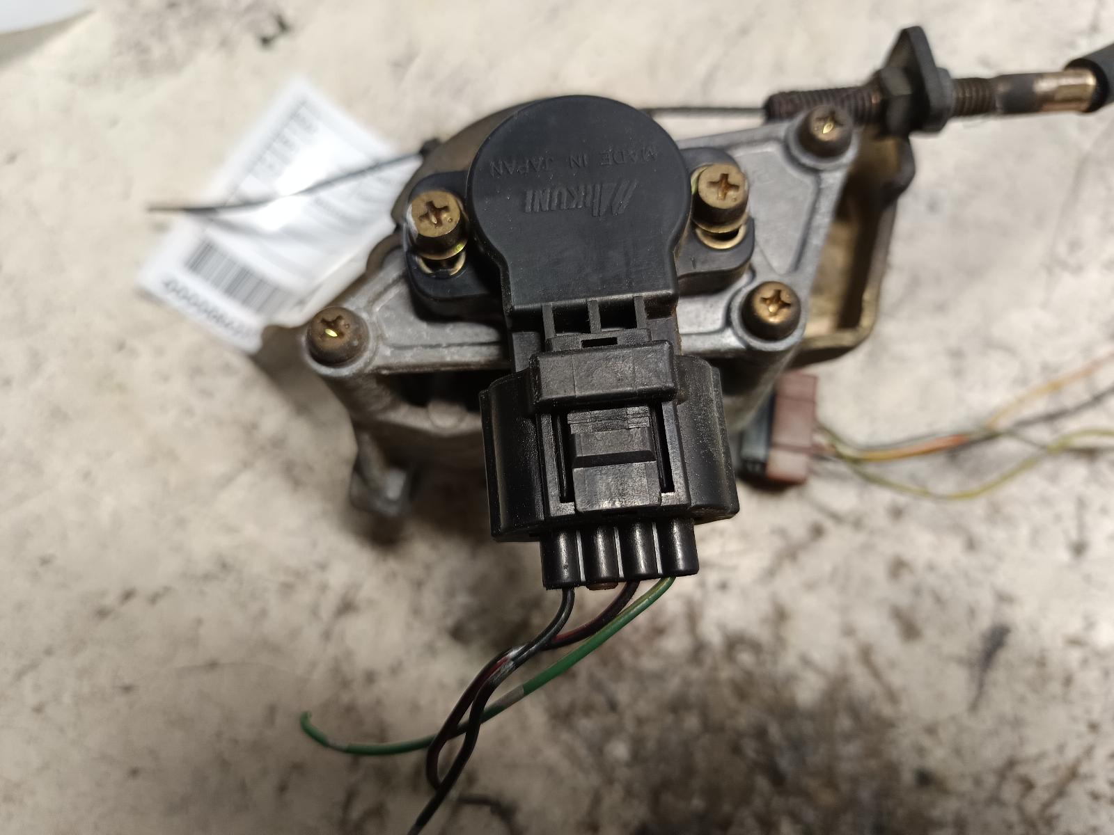 Contact us for Photo