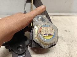 Contact us for Photo