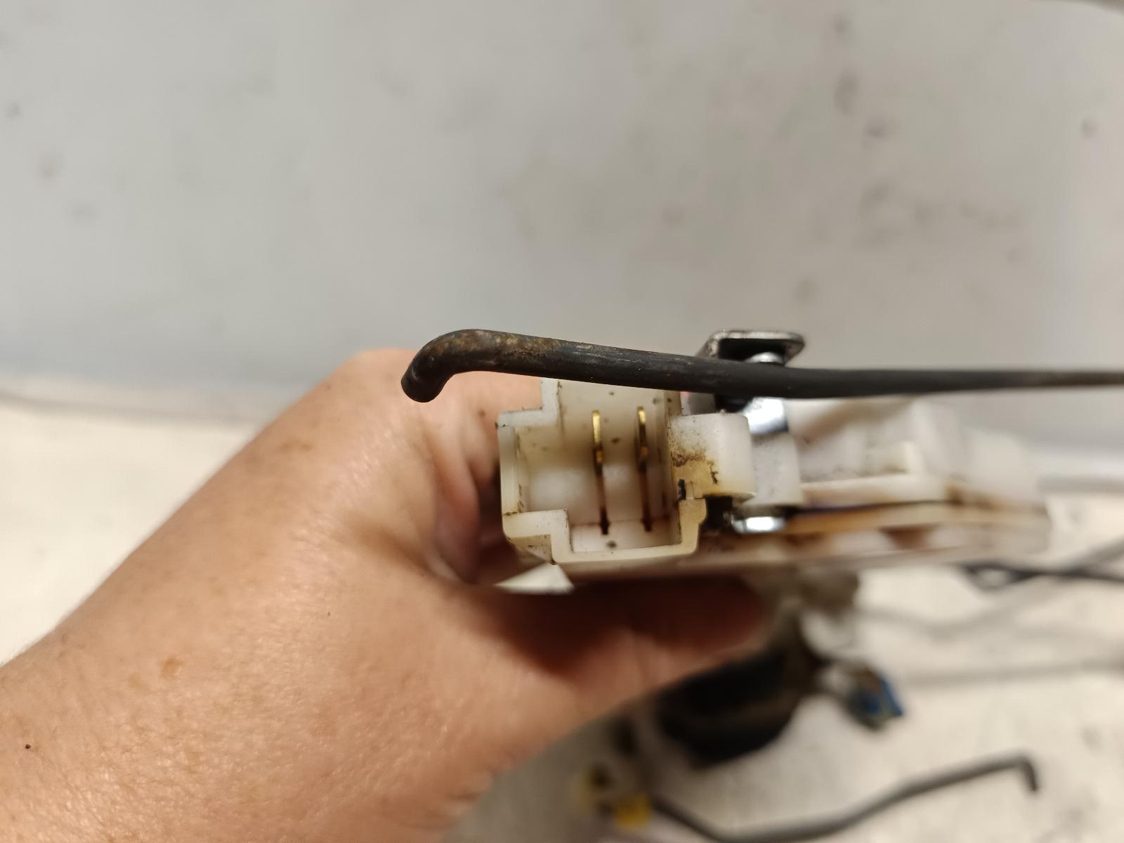 Contact us for Photo