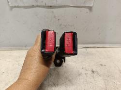 Contact us for Photo