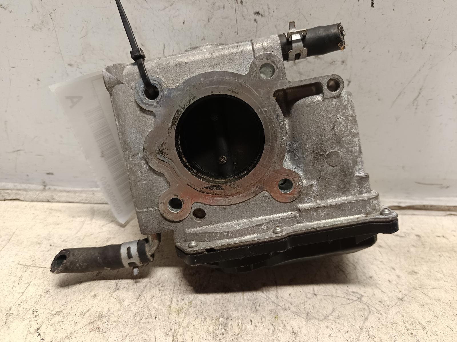 Contact us for Photo