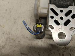 Contact us for Photo