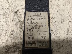 Contact us for Photo