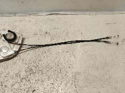 Contact us for Photo